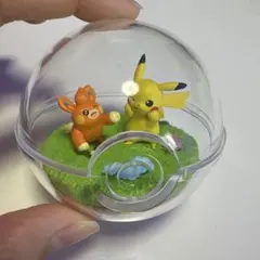 テラリウムコレクションEX パモ＆ピカチュウ
