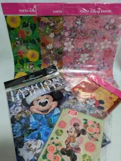 ディズニーリゾート　ミニーちゃん　実写　クリアファイル　イマジニングザマジック