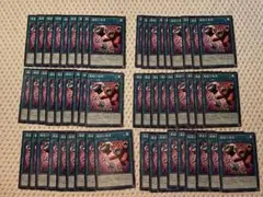 魔獣の懐柔　ノーマル54枚 遊戯王