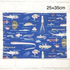 深海魚(ブルー)ランチョンマット25×35cm ランチクロス/ナプキン/ナフキン