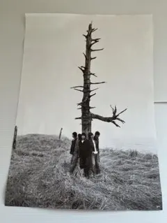 Item thumbnail for item 99c3f57a-b6bd-4e60-9a36-10cc50d04562