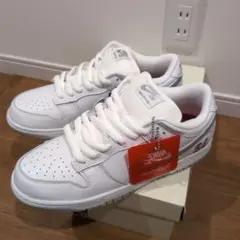 Supreme × Nike SB Dunk Low 28.0cm