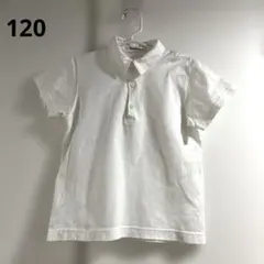 ファミリア　半袖シャツ　カットソー　120