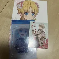 ある日、お姫様になってしまった件について　特典　 アニメイト