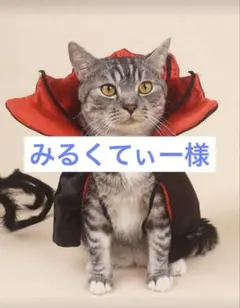 みるくてぃー様専用 ペット用品
