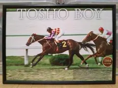 競馬 トウショウボーイ パネル 殿堂の父子