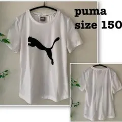 ⊰ 150 ⊱☘️送料無料☘️匿名発送☘️プーマ　半袖　Tシャツ　Puma ホワイト