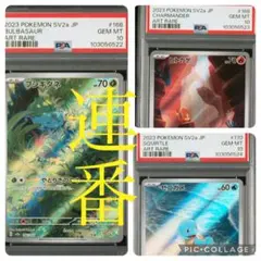 フシギダネ　ヒトカゲ　ゼニガメ　AR PSA10 連番　御三家　151