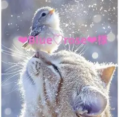 ❤︎Blue♡rose❤︎様専用ページ