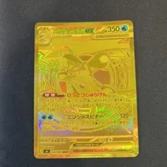 2026年最新】メガゲッコウガex murの人気アイテム - メルカリ