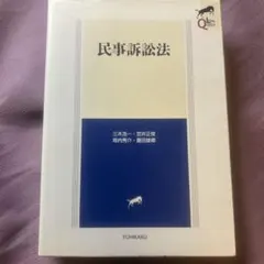 民事訴訟法　初版