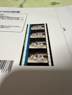 2026年最新】ラブライブ フィルムの人気アイテム - メルカリ