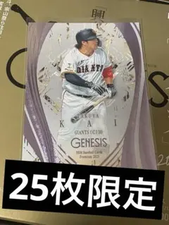 山口鉄也 ジャイアンツ bbm 花火パラレル 2025年最新】山口鉄也の人気アイテム - メルカリ