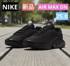 【新品】NIKE/ナイキ WMNS AIR MAX DN BLACK 25.0