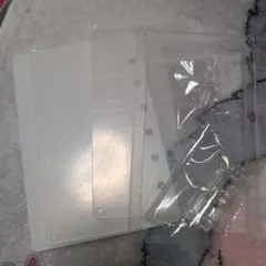 Item thumbnail for item 2ef31408-e42a-48a9-87bd-050e2163576c