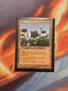 kaeru様 リクエスト 2点 まとめ商品