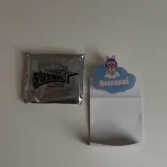 StrayKids SKZOO 랜덤 네임 배치 체임빈