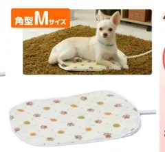 Item thumbnail for item 6d3a80c3-e360-480e-9047-5822cf014904