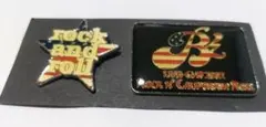 【希少】B'z ROCK 'N' CALIFORNIA ROLL ピンバッジ！