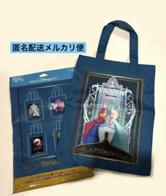 ディズニーシー　ファンタジースプリングス　トートバッグ　アナと雪の女王　匿名配送