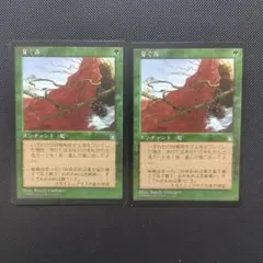 2026年最新】MTG 芽ぐみの人気アイテム - メルカリ