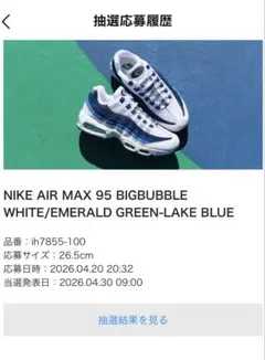ナイキ Nike AirMax95 BigBubble Slate ブルーグラデ