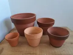 テラコッタ 素焼き 植木鉢 5個セット