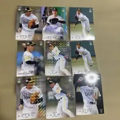 Item thumbnail for item cb3e5343-cc76-40f1-bb1a-d934a8fe9df0