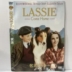 2026年最新】名犬ラッシー~家路~ dvd 中古品の人気アイテム - メルカリ