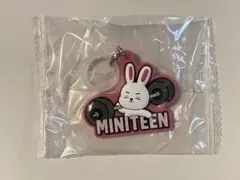 ミニティーン　miniteen seventeen セブチ　めじるし　エスクプス