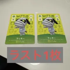 【美品】ラッキー amibo どうぶつの森