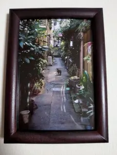 路地裏の猫 風景写真 額縁入り