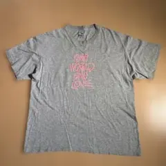 OLD Stussy ONE WORLD ONE LOVE Tシャツ 90sのサムネイル