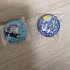 mama様専用 ディズニー刺繍缶バッジ　2個セット