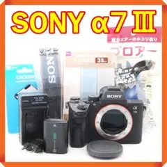 最終値下げ☆すぐ使える☆付属品多数☆SONY☆ILCE-7M2☆a7II☆α7Ⅱ