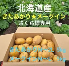 さくら様専用 きたあかり（M〜2L）★メークイン（M〜L）各5kgずつ計10kg