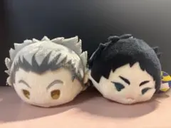 ハイキュー!! おまんじゅうにぎにぎマスコット 20個まとめ売り 赤葦京