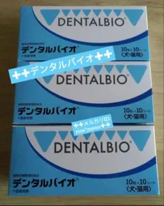 Item thumbnail for item ef309a15-fc4c-4285-b8e2-f4630776ffe9