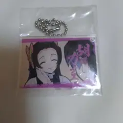 鬼滅の刃　胡蝶カナエ　胡蝶しのぶ　アクリルプレート