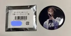 TOP4 in TOKYODOME ガッチマン 缶バッジ シークレット - メルカリ
