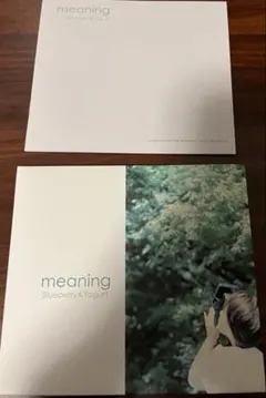 Item thumbnail for item 9d63871d-191c-4e06-8f98-34561f71973a