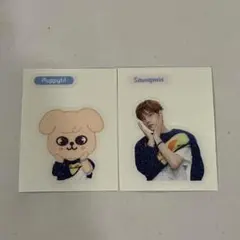 スンミン　ステッカー　2種　スペシャルチケットセット　ペンミ　MD スキズ　1