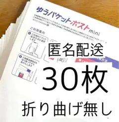 ゆうパケットポストmini専用封筒30枚 折り曲げ無し ポスト投函 mini