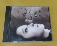 DER ZIBET / 思春期Ⅱ―DOWNER SIDE―