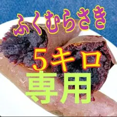 Handmade♡nanami様専用