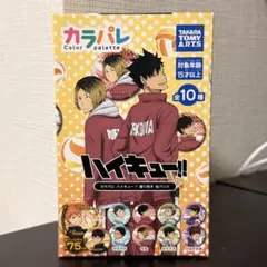 ハイキュー!! カラパレ 振り向き 缶バッジ BOX 全10種セット