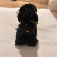 2026年最新】シュタイフ ビンテージの人気アイテム - メルカリ