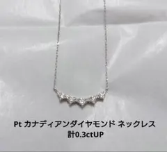 Pt カナディアンダイヤモンド ネックレス 計0.3ctUP - メルカリ