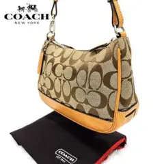 COACH シグネチャー アクセサリーポーチ ワンショルダー Y2K