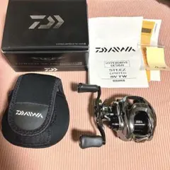 21 スティーズ リミテッド sv tw 1000HLのサムネイル